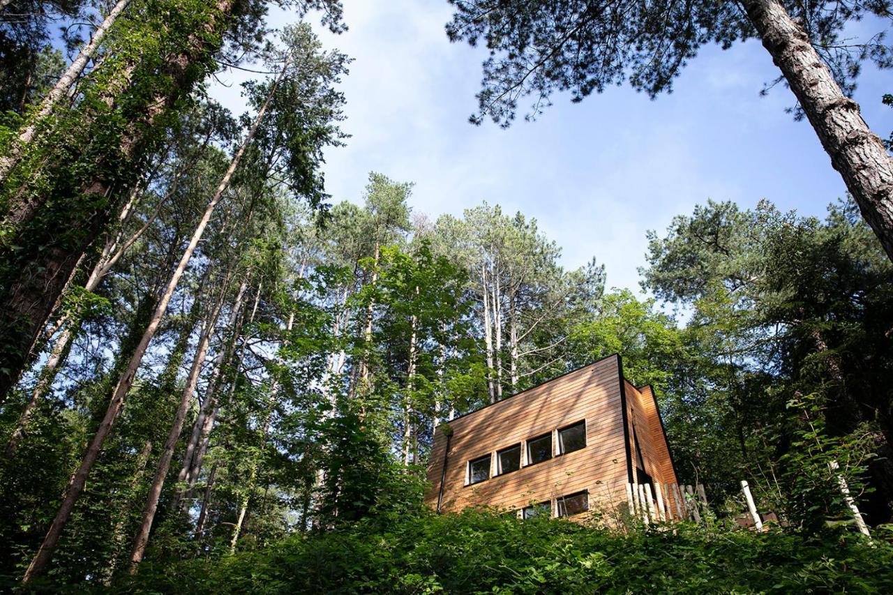 Bain De Foret - Lodges Cosy & Spa Neufchâtel-Hardelot Εξωτερικό φωτογραφία